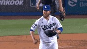 Lets Go Sport GIF by MLB