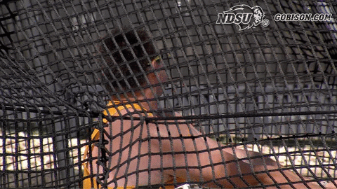 north dakota state bison GIF by NDSU Athletics