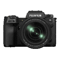 Vintage Photography Sticker by FUJIFILM X Serie l GFX DE