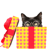 Happy Birthday Sticker