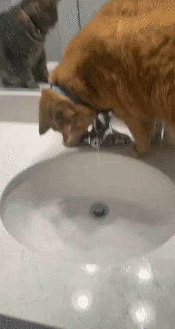 jermbly giphyupload GIF