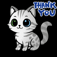 Cat Thanks GIF