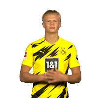 Happy Football Sticker by Bundesliga