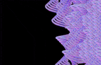 dua lipa love GIF by Canek