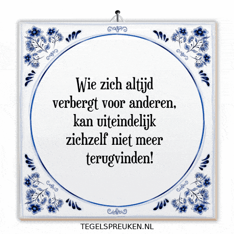 Humor Nl GIF by Tegelspreuken.nl