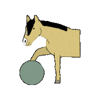 paardvrolijk horses happy horse clickertraining horse training Sticker