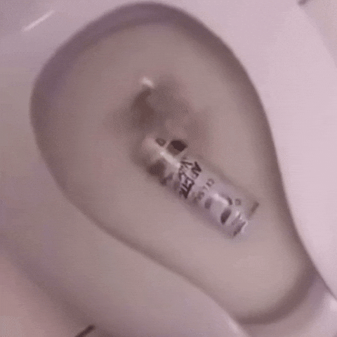 Oh No Toilet GIF by Respective