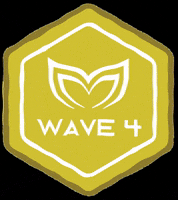 Wave4 GIF by Molchanovs