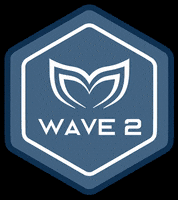 Wave2 GIF by Molchanovs