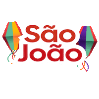 Sao Joao Technology Sticker by Reset TI