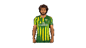 Liga Nos Sticker by CD Tondela