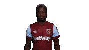 Premier League Maxi Sticker by West Ham United