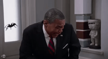 abc oh no oh shit blackish eek GIF