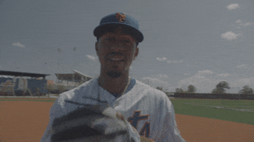 Major League Baseball GIF by MLB