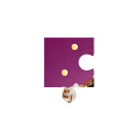 Open Secret Puzzle Sticker by Opensecretsnacks