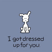 Dogs Love GIF by Chippy the Dog