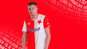 Football Celebrate GIF by SK Slavia Praha