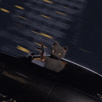 Dance Cat GIF