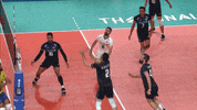 Power Joy GIF by Volleyball World