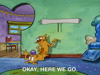 nicksplat GIF