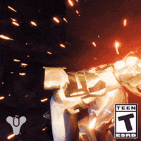 Destiny 2 Arms GIF by DestinyTheGame