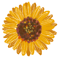 Sticker Flower Sticker by Doodleganger