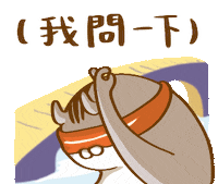 Cat Asking Sticker