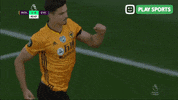 Premier League Yes GIF by Play Sports