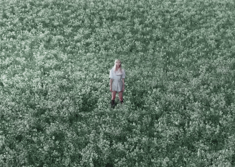 Blue Valentine GIF
