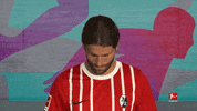 Scf Hoeler GIF by Bundesliga