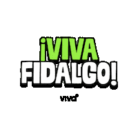 Futbol Mexico Sticker by Viva Aerobus