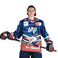 Eishockey Sticker by Adler Mannheim