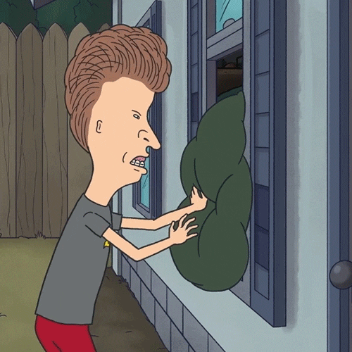 Beavis And Butthead Comedy GIF by Paramount+