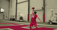 National Football League GIF by 1st Look