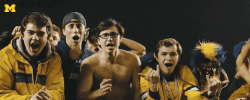 Michigan Football Touchdown GIF by Michigan Athletics