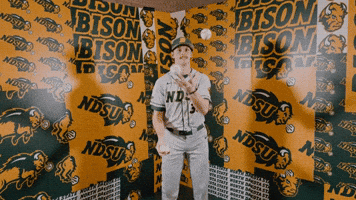 Baseball Bison GIF by NDSU Athletics
