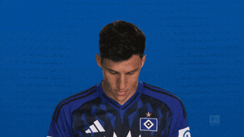 Look Up Hamburger Sv GIF by Bundesliga