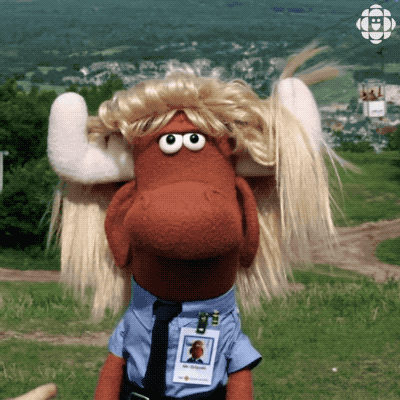 cbc kids fainting GIF by CBC
