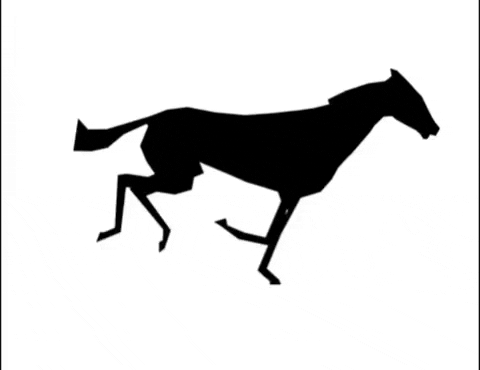 michaelpaulukonis horse css GIF