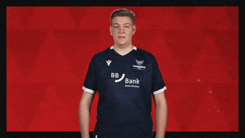 Karlsruher Sc Football GIF by Bundesliga