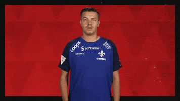 Sv Darmstadt 98 Football GIF by Bundesliga