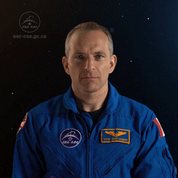 agencespatialecanadienne wow cerveau astronaute impressionnant GIF