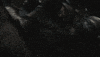 Robert Pattinson GIF by NETFLIX