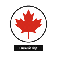 Canada Flag Sticker by Formación Ninja