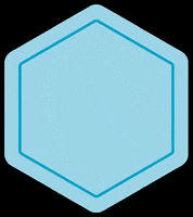 Molchanovs Freediving GIF by Molchanovs