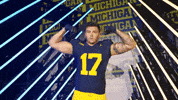 Go Blue Michigan Football GIF by Michigan Athletics
