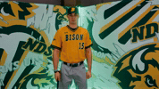 Baseball Bison GIF by NDSU Athletics
