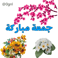 Gnl Sticker