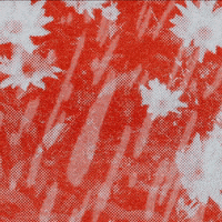 Summer Flowers GIF by kiin.