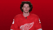 Red Wings Sport GIF by Detroit Red Wings